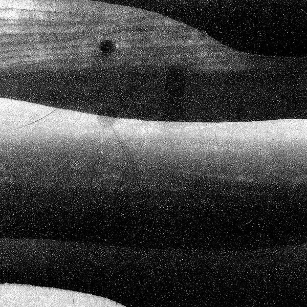 Cornelius x Idea – Mellow Waves | IDEA Magazine